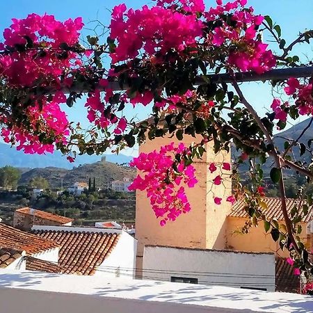 Casa Caballito De Mar Boutique B&B Bédar Esterno foto
