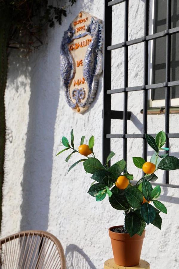 Casa Caballito De Mar Boutique B&B Bédar Esterno foto