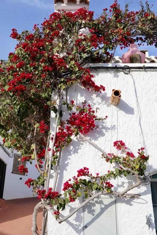 Casa Caballito De Mar Boutique B&B Bédar Esterno foto