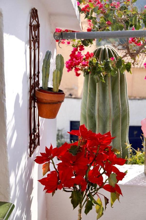 Casa Caballito De Mar Boutique B&B Bédar Esterno foto