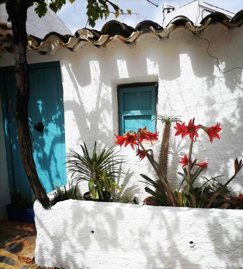 Casa Caballito De Mar Boutique B&B Bédar Esterno foto