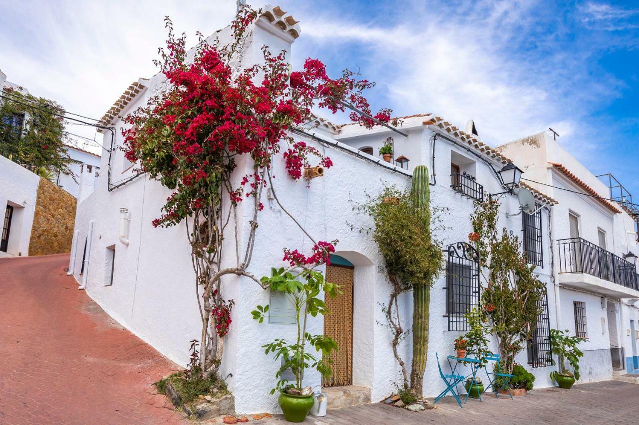 Casa Caballito De Mar Boutique B&B Bédar Esterno foto