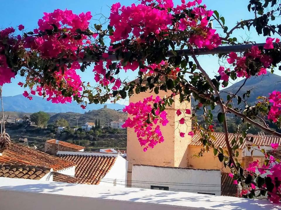 Casa Caballito De Mar Boutique B&B Bédar Esterno foto